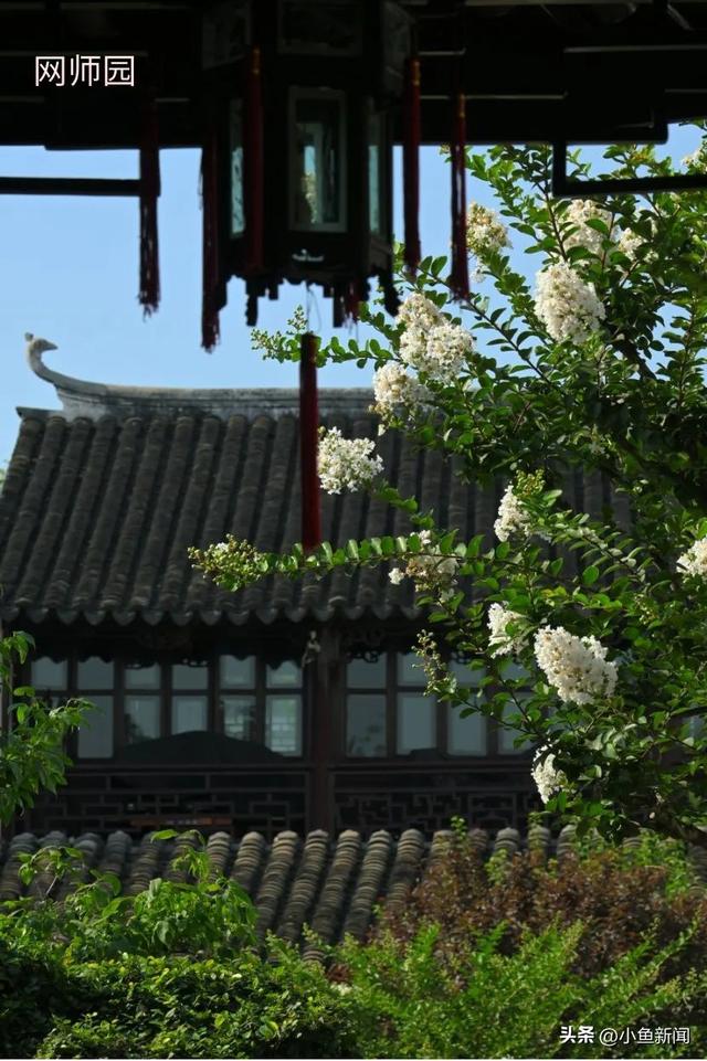 谁说夏天没花看？苏州园林偷偷美翻了！