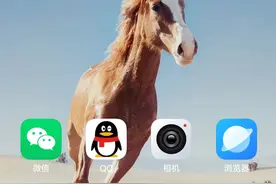 你的身份信息有可能被他人盗取，教你如何查询身份信息有没有泄露图片
