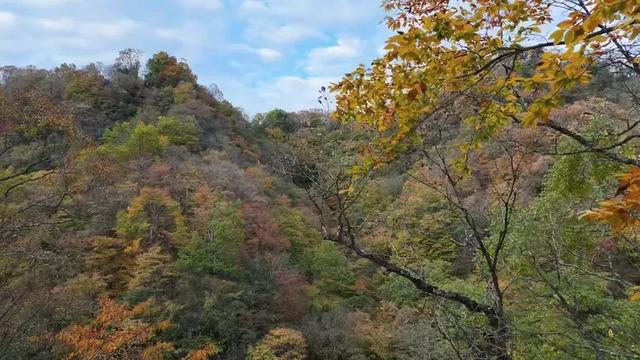 龙头山秋韵：层林尽染的摄影秘境