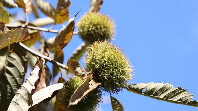 黄前镇：一半山水清欢 一半文脉悠长