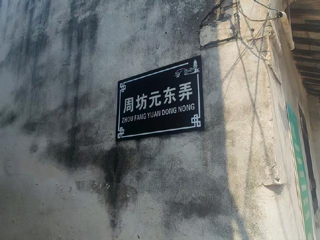 “准耄耋”生日震泽古镇一日游小记