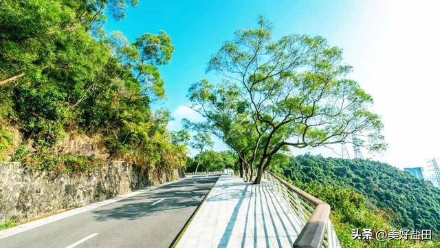深圳新手必刷！5公里山海徒步，地铁直达→