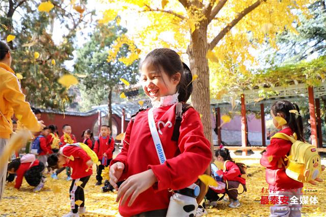 岱庙观景，簌簌金叶映童趣