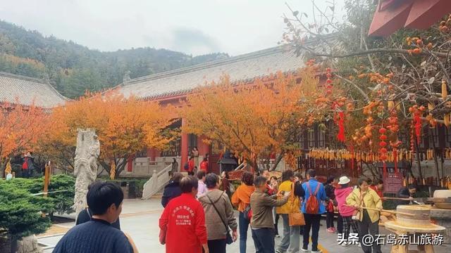 2025赤山红叶节圆满收官，明年再赴这场山海红韵之约！