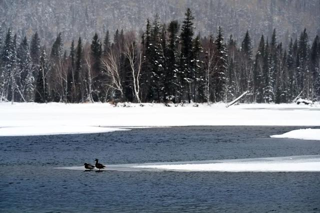 千万别在冬天去新疆!因为去了就回不来了……