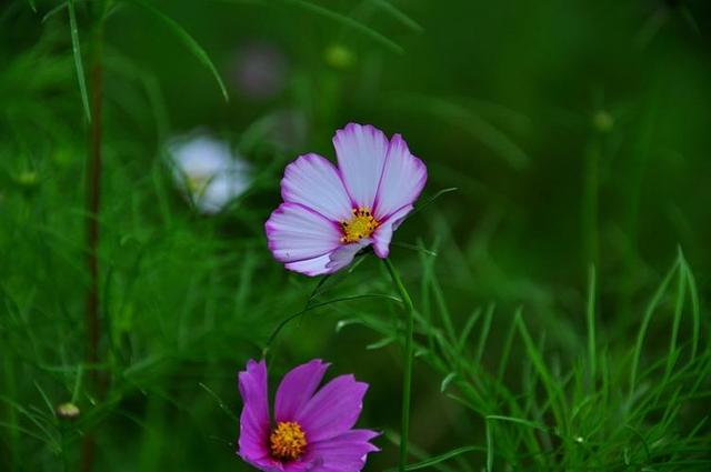 情感爆文：《懂得珍惜，才配拥有，只有在乎，才能永久》