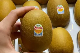 明明是同一种水果，为啥一个叫奇异果，一个叫猕猴桃，有4个区别图片