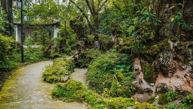 9000亩串联成片！郫都宝藏公园藏不住了→