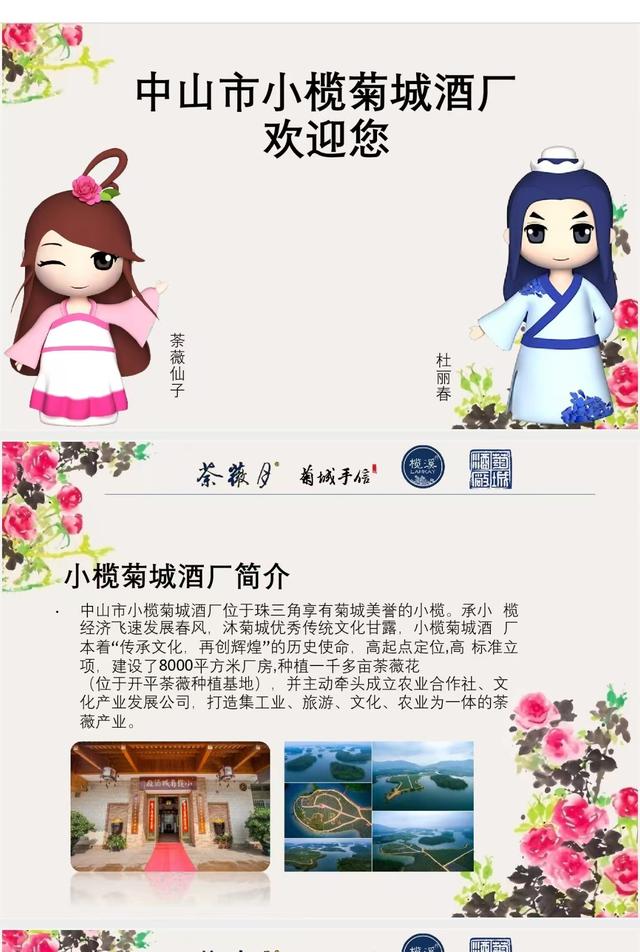 伟人故里 盛世繁华：左丹红博士心中的中山小榄百年菊会