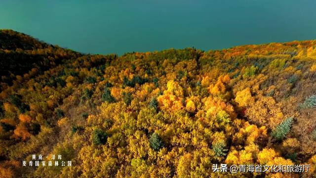 秋风叩黄南，一场与山水私语的秋日浪漫邀约