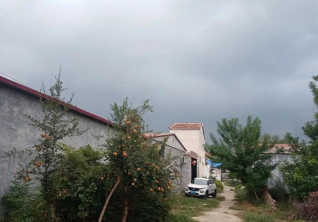 明日八月十五，老人说最怕“八月十五一日雨”，十五下雨啥预兆