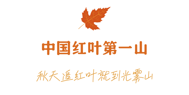 追了光雾山的红叶，这个秋天没白过！