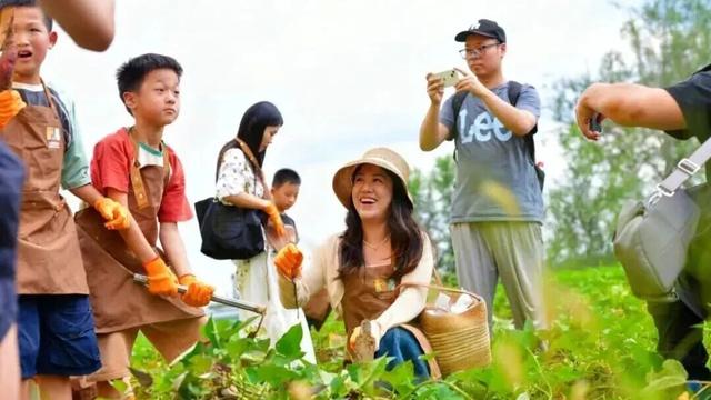 双流⇋金堂，国庆见！