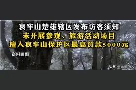 别去！哀牢山最诡异的一幕出现了，根本不是跟在颜料师身后的熊图片