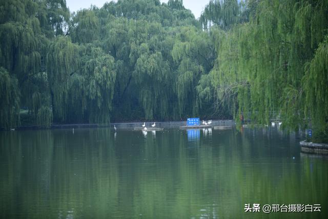 秋雨后，邂逅达活泉的浪漫