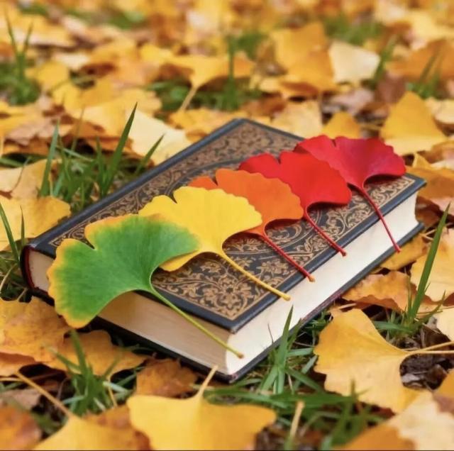 京蓝如洗，风暖人间