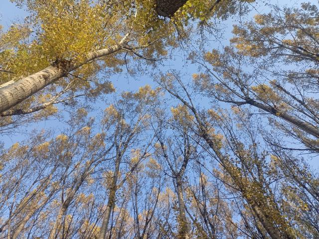 骑行孤独寻心静