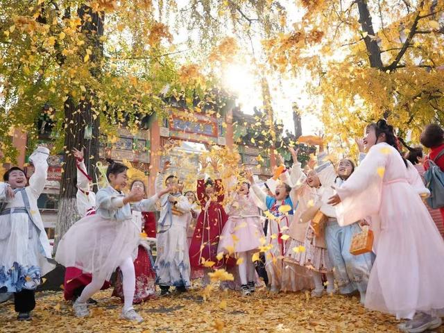 来文庙玩转银杏季！温江，你是懂浪漫的