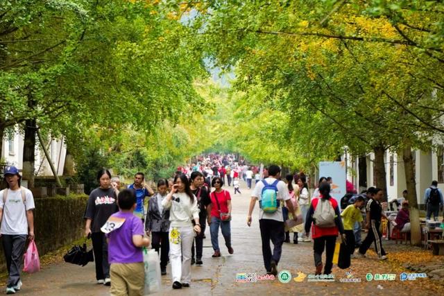 南雄举办银杏观赏季系列活动——第六届广东省森林文化周南雄分会场暨“韶华之约”青年交友联谊活动