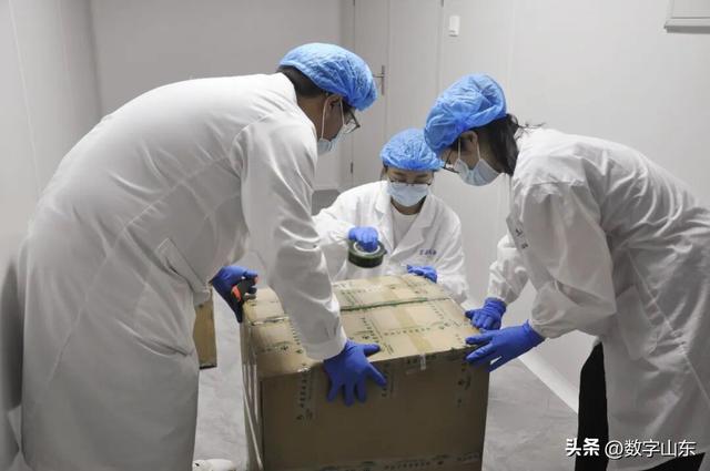 言鼎实验室团队赴安徽亳州，推动植物胚性干细胞技术落地投产