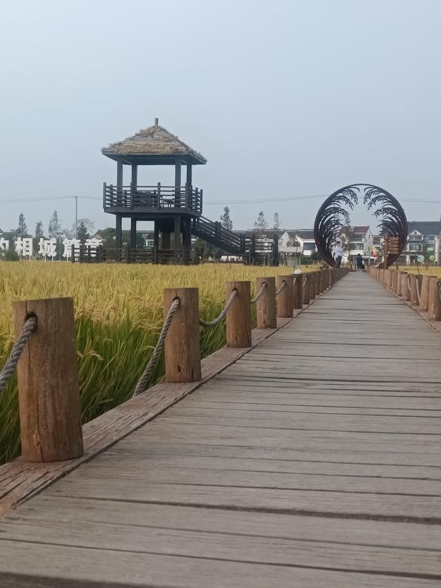 刚从相城回来，毫不客气的说，相城就是全国郊区化发展的天花板！