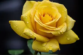 往后余生，不谈亏欠，不负遇见，与自己和解，与别人相安图片