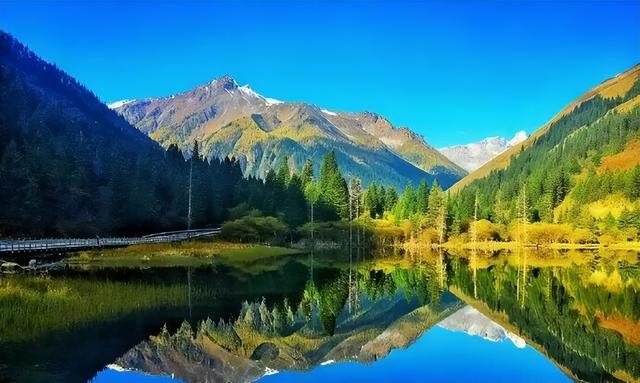 2025年黑水县彩林观赏指数预报|3级，最佳观赏期