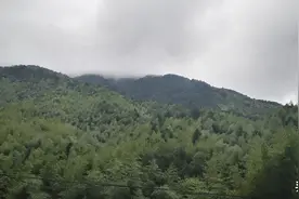 关于审理破坏森林资源刑事案件适用法律若干问题的解释理解与适用图片