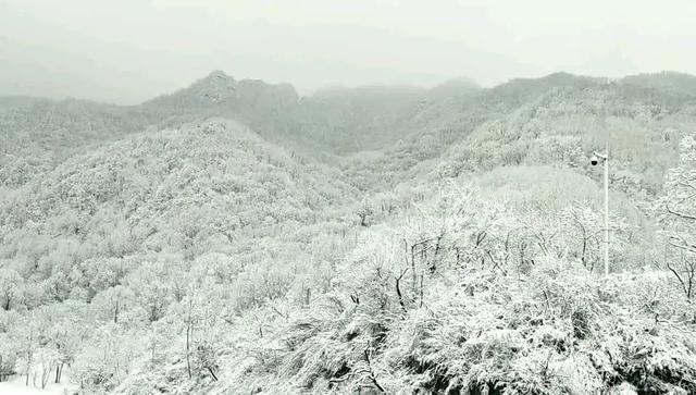 12.12雪落玉渡山！一山两景藏着冬日限定浪漫