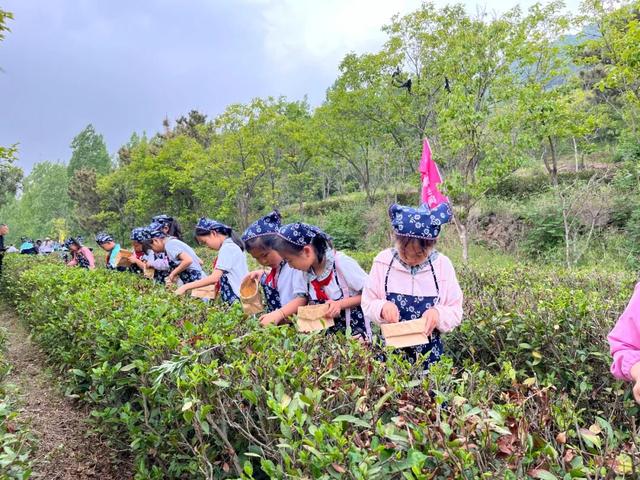 “齐鲁天路”诸城段景点（八）：永辉乡间生态园