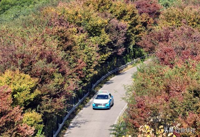 推进社会治理现代化走深走实——各地学习贯彻党的二十届四中全会精神见闻