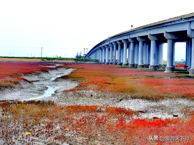 分享一个免费的红海滩，景色一点不差盘锦红海滩，