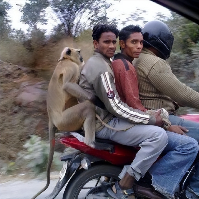 都是十四亿人口，印度每1000人仅34人有车，中国1000人中有多少？