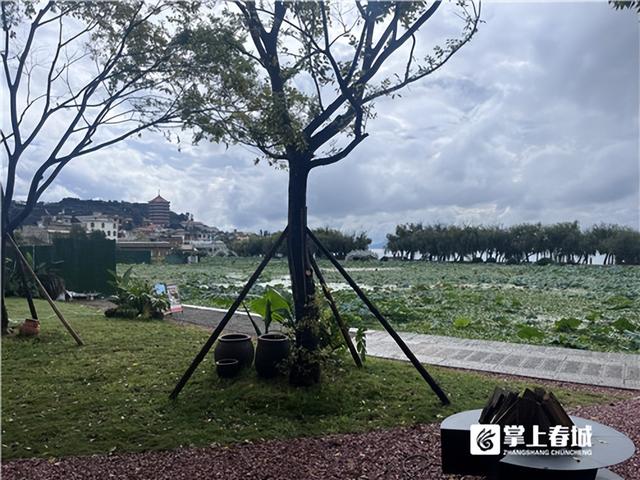滇池朋友圈·绿道经济带丨“民宿+”的新消费场景正在海晏村形成
