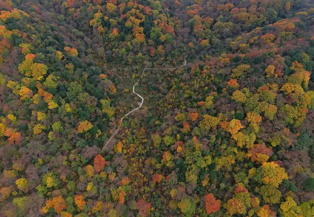 一步一景！旺苍盐井峡五彩斑斓，就像秋日童话甚是迷人！