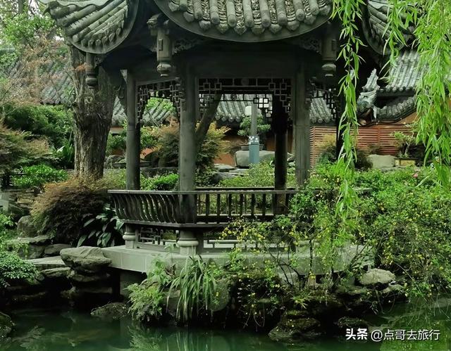 成都主城区老牌公园，最适合乘凉避暑，超级舒服，地铁公交直达！