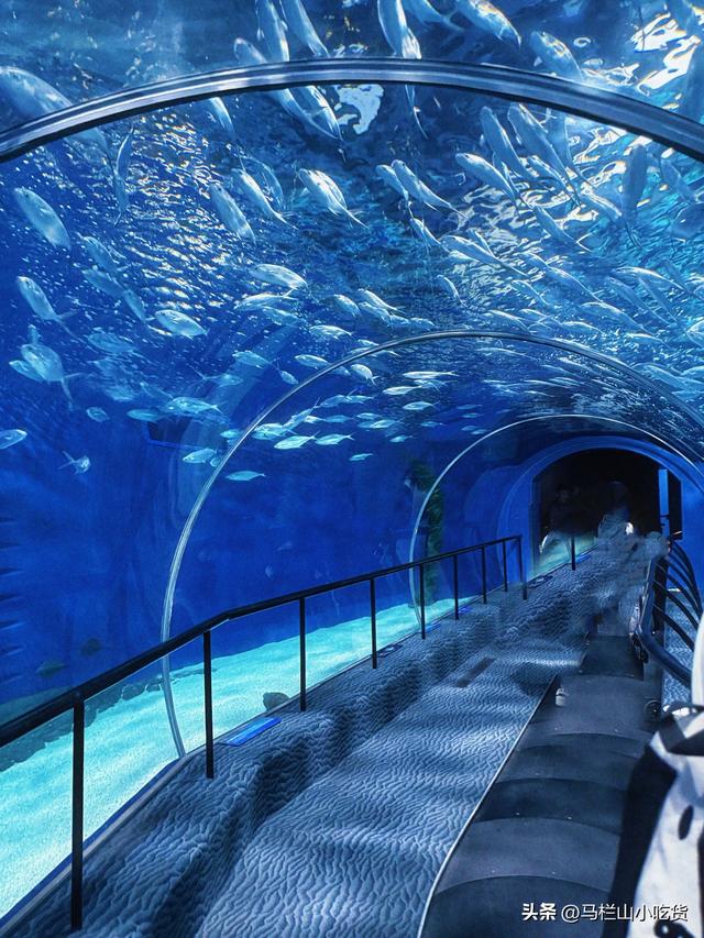 哈尔滨旅游，极地公园 | 超全打卡攻略！