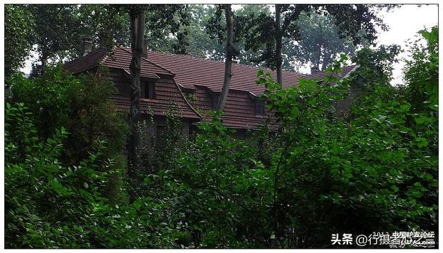 山东行游影记（14）—济南山东大学（一）