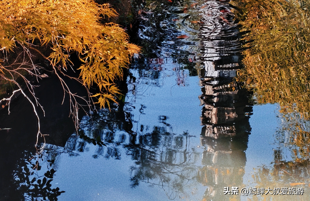 80%人错过的杭州秋冬诗意景点，免费可观西湖，还有绝美打卡处！