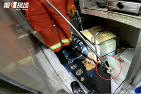 16天接警232宗！“根本抓不完……”图片