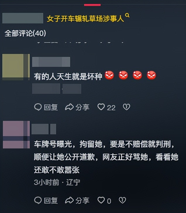 女子开车碾压草场后续：扬言撞死牧民，真实身份被扒	，公司被牵连