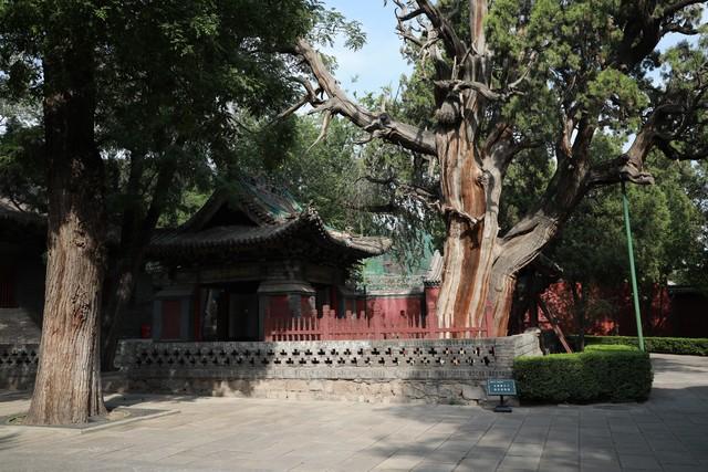 北京古建筑你最喜欢哪座