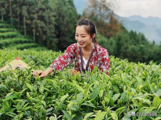 “农文旅”融合“串”起诗意与烟火