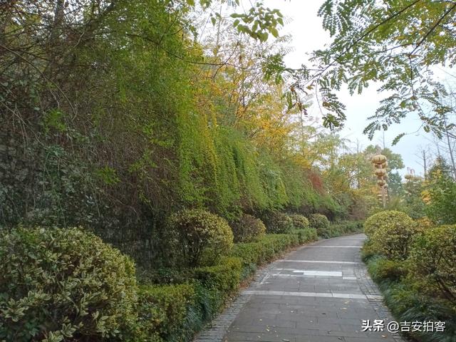 美丽吉安之安福：蒙岗岭公园初冬风光欣赏