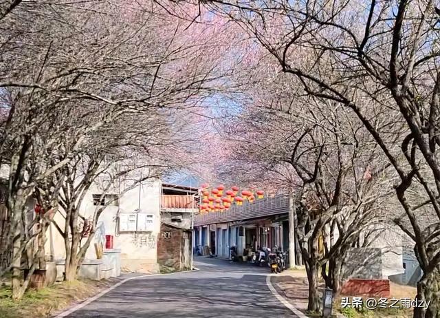 土楼拾光③:梅林古镇（2025.2.11 漳州·南靖）