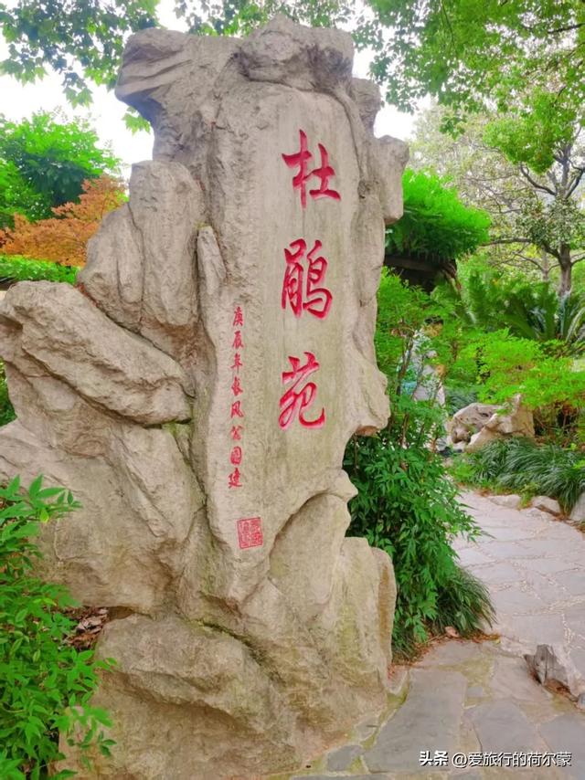 在上海终于看到了！一座建在市中心的巨大公园！
