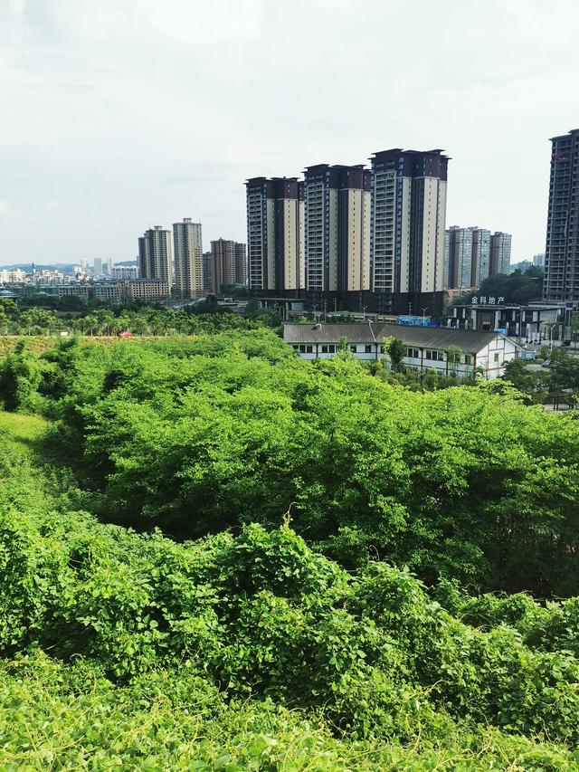 到四川省乐至县旅游两天，见识了真正的人间烟火气