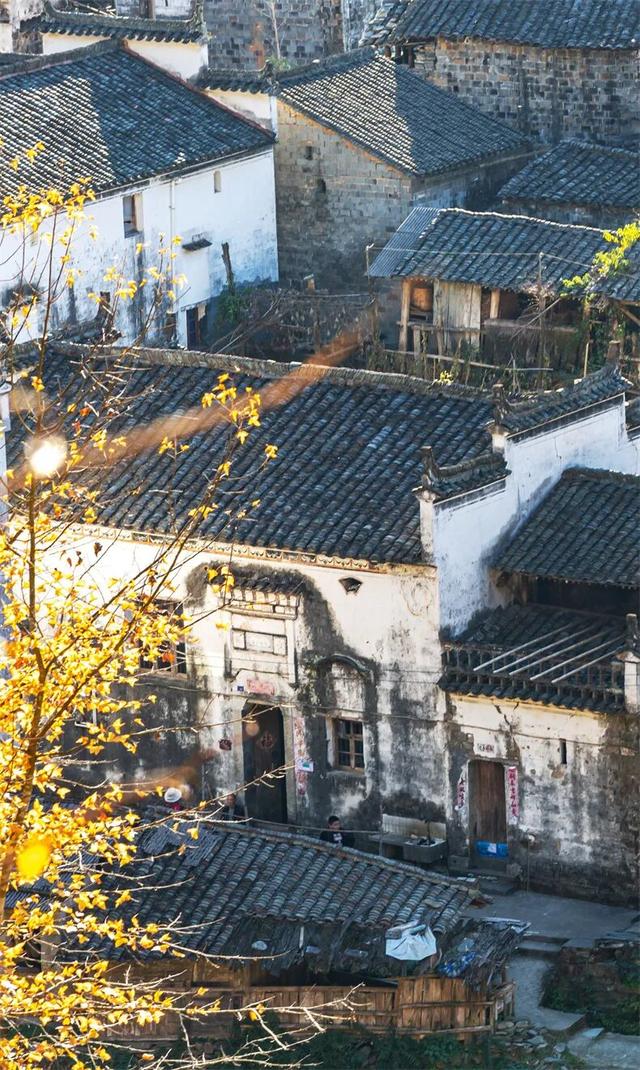 接下来2个月，这16个地方的秋色迎来“封神”之作，挑一个出发！