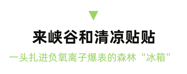 逃离高温！成都2H躲进峡谷避暑地，徒步森林瀑布、探秘野生动物！超萌奖牌周末就冲！