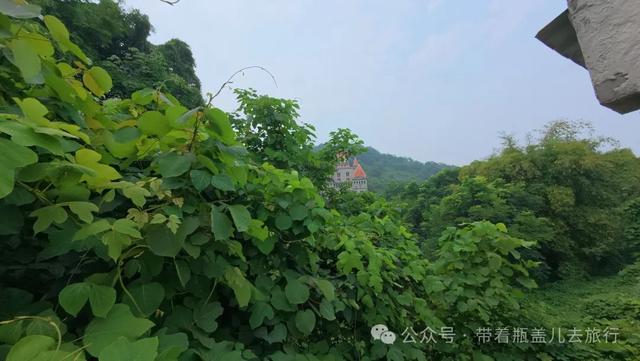 探秘重庆深山"鬼堡"，奢华废墟中暗藏玄机，背后真相到底是什么？
